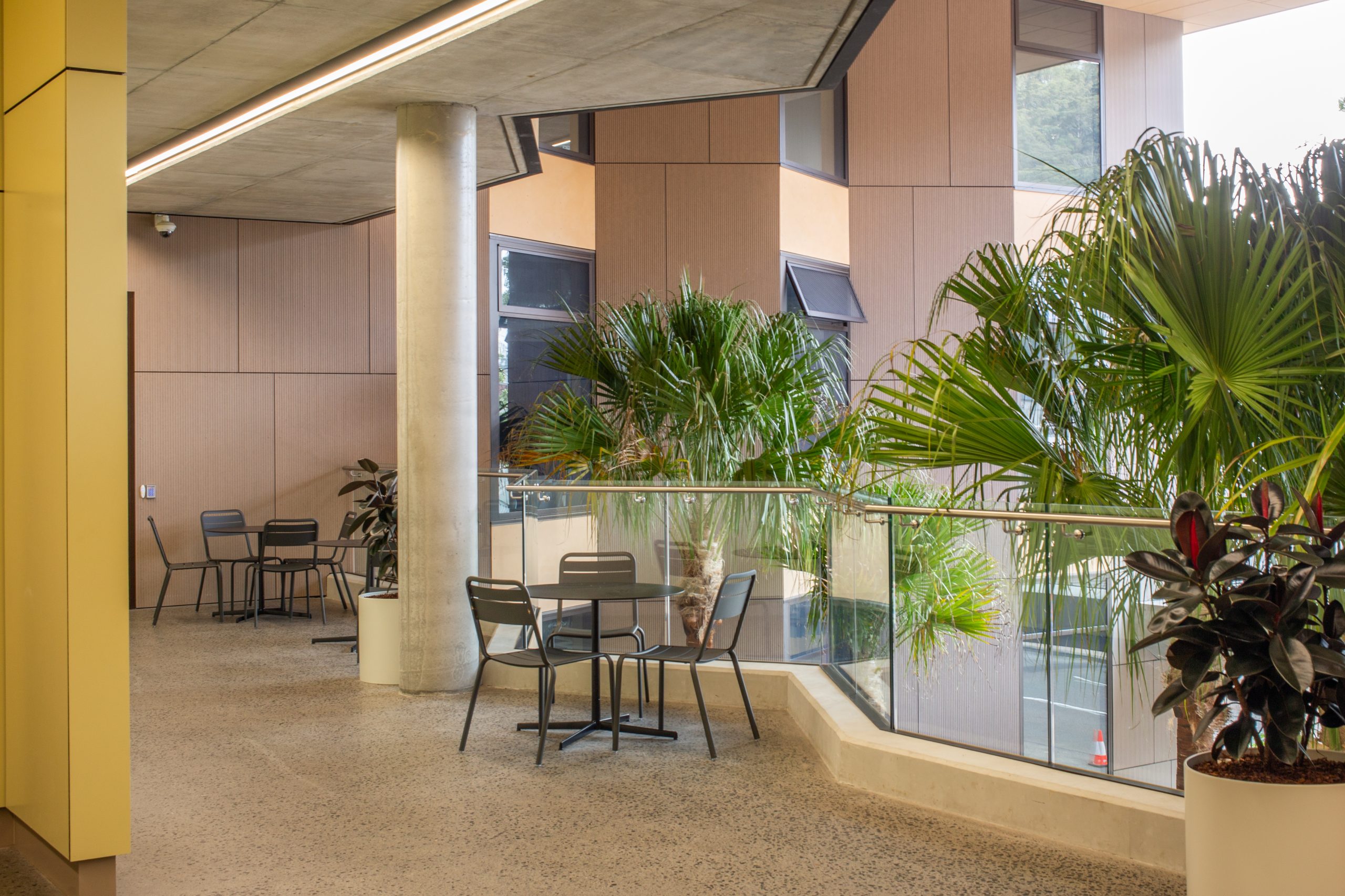 A photo of the completed Gosford Regional Library | North Construction